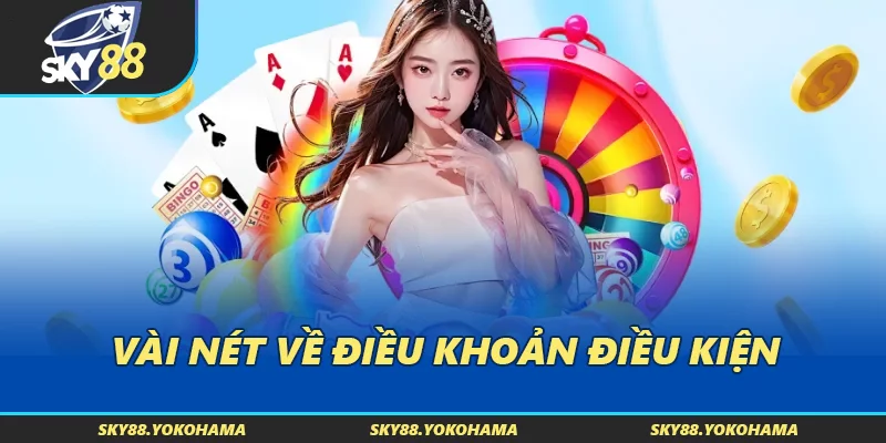 Một vài nét về các điều khoản điều kiện
